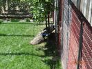 DSC01860
