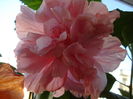 DSC02095