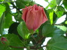 DSC02150