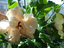 DSC02148