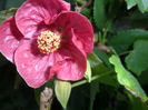 SAM_6580