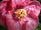 SAM_6582