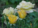 DSC09271