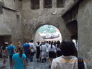 DSCN3065