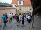 DSCN3067