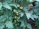 IMG_20150619_073230