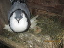 Picture 026