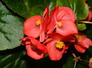 DSCN1527