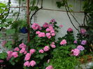 DSCN1531