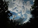 DSCN1536