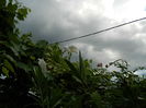 DSCN1547