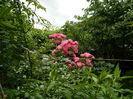 DSCN1548