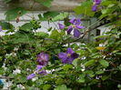 DSCN1553