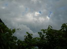 DSCN1554