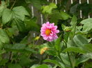 DSCN1559
