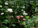 DSCN1563