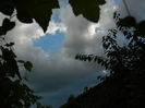 DSCN1578