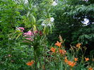 DSCN1594