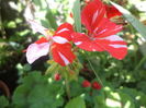 DSC04258
