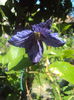 DSC09929