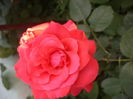 DSC04262