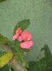 DSC04267