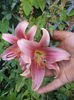 DSC04268