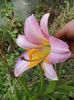 DSC04270