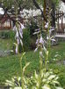 P6240047