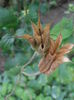 P6250293