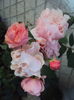 DSC00013