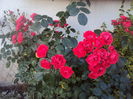 DSC00017