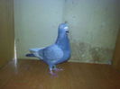 101707967_LZFMXAQ3