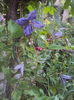 DSC00053