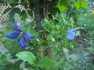 DSC00054