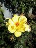 20150530_175040