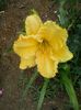 20150619_122657