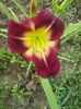 20150620_081909