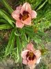 20150620_082026