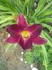 20150620_082618