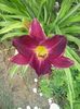 20150620_082620