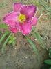 20150620_082721