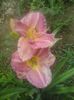 20150621_093724