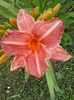 20150621_151018