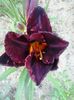 20150622_164650