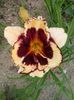 20150622_164704