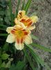 20150623_154817