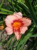 20150623_154827