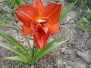 20150623_164727