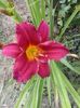 20150623_164811 - Copy